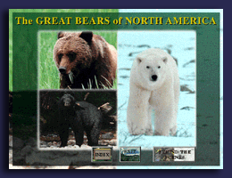 Great Bears Main Menu