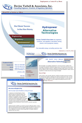 Devine Tarbell and Associates Web Site