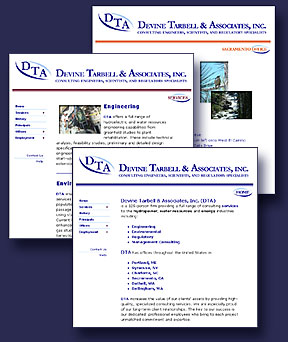 Devine Tarbell and Associates web site